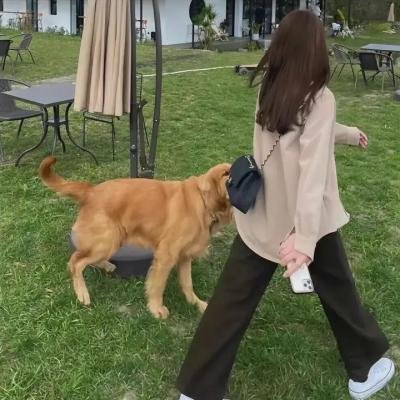 我的明星村长